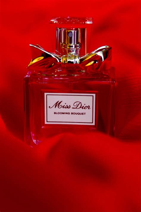 miss dior red fox jacket
